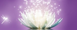 lotus-flower-sparkle